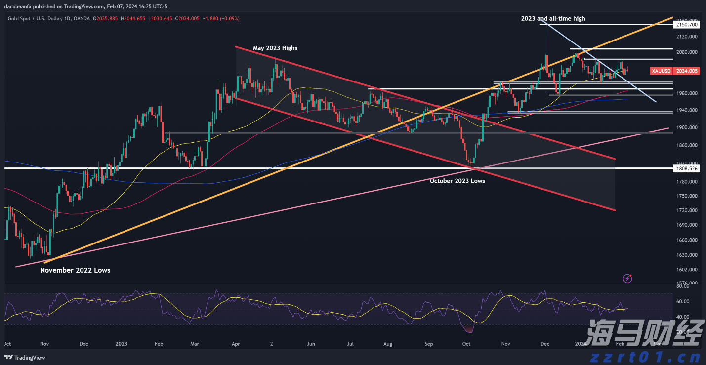 华南农业大学薛红卫：岭南特色是广东现代农业的“根与魂”